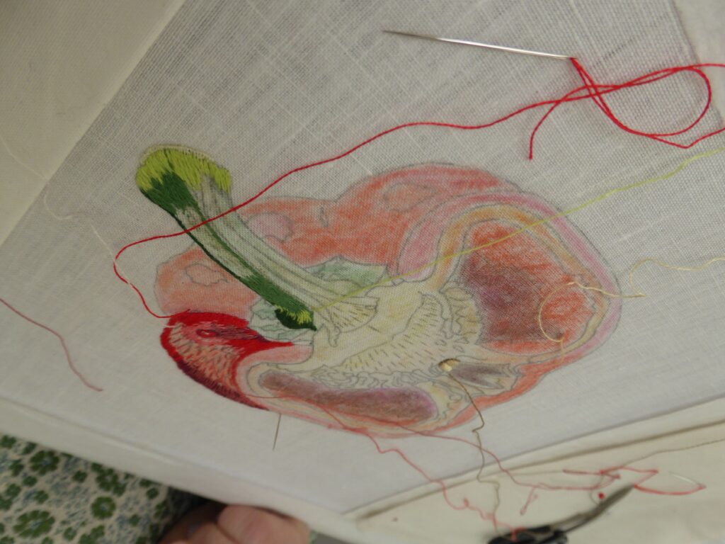 Broderie peinture à l’aiguille confirmé 28h