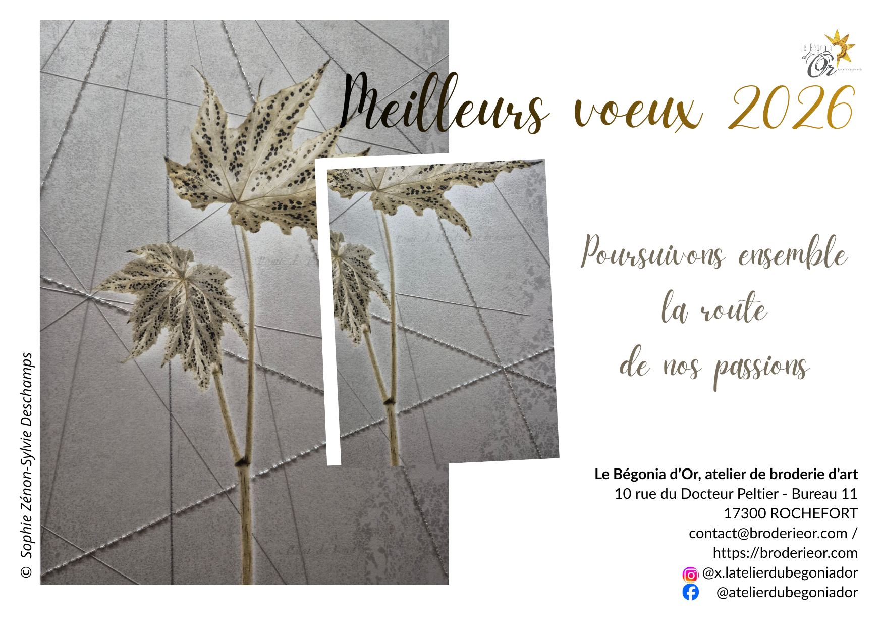 Le Bégonia d'Or vous souhaite une excellente année